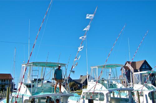 Capt. Bryan’s great day of sailfishing.